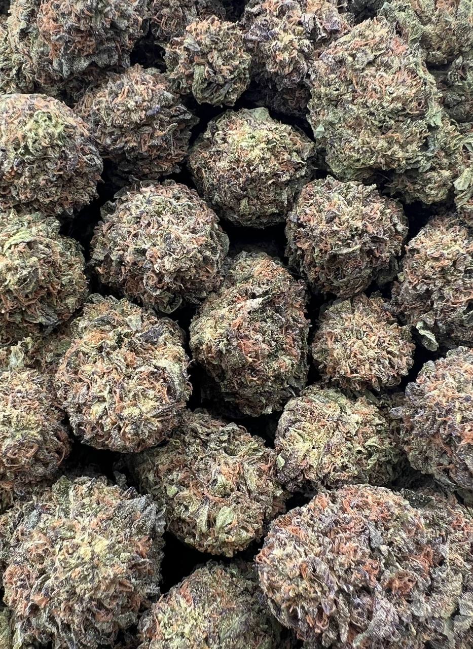 Durban Poison (Qp 240)