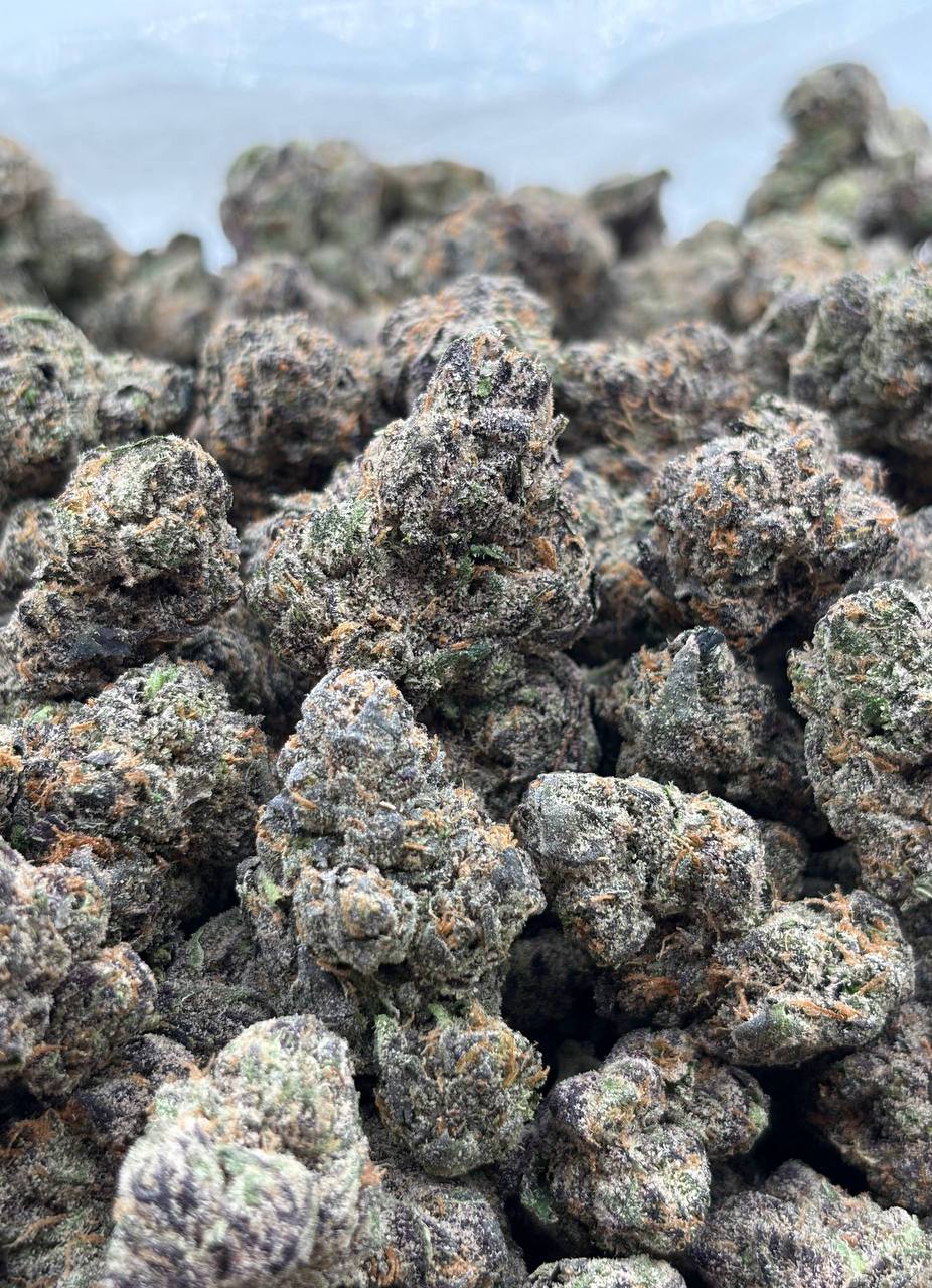 Babylon Cherry Chews (Qp 400)