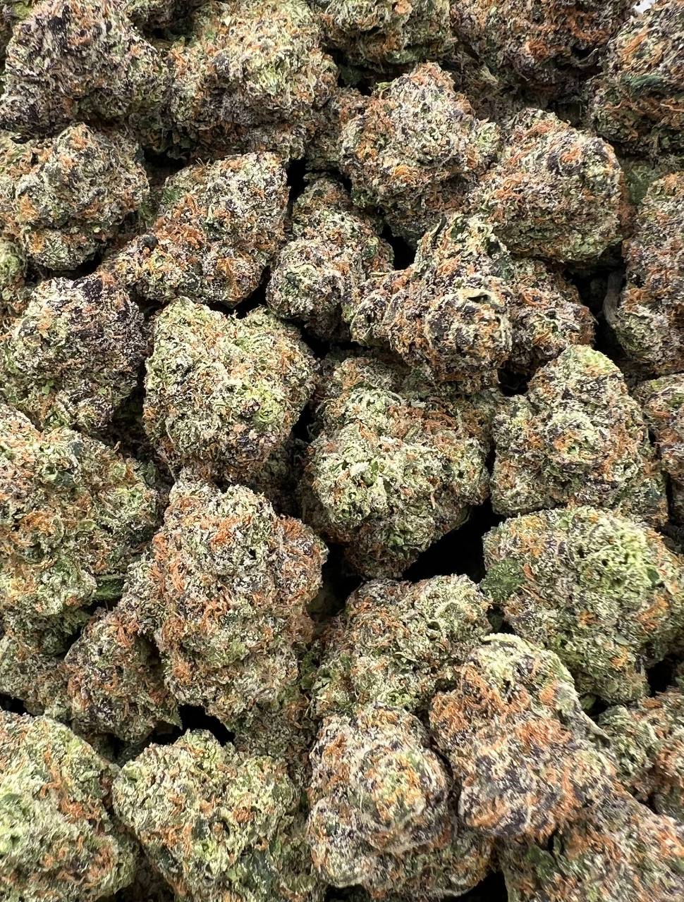Zparkiez (Qp 335)