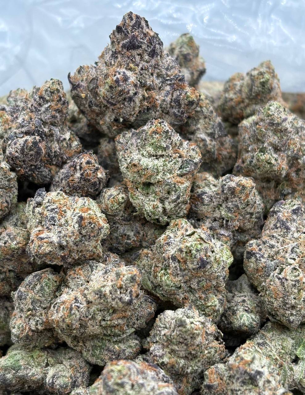 Crème Brûlée  (Qp 360)