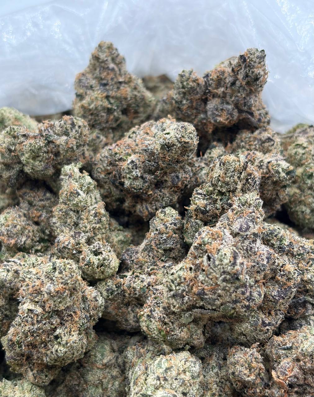 Zaza City  (Qp 380)