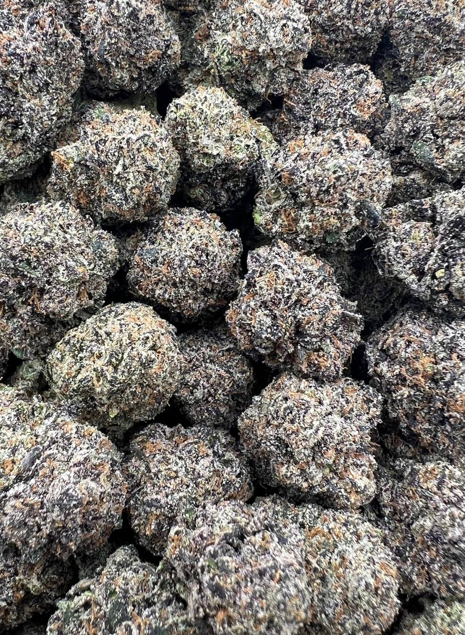 Zazitoz (Qp 365)