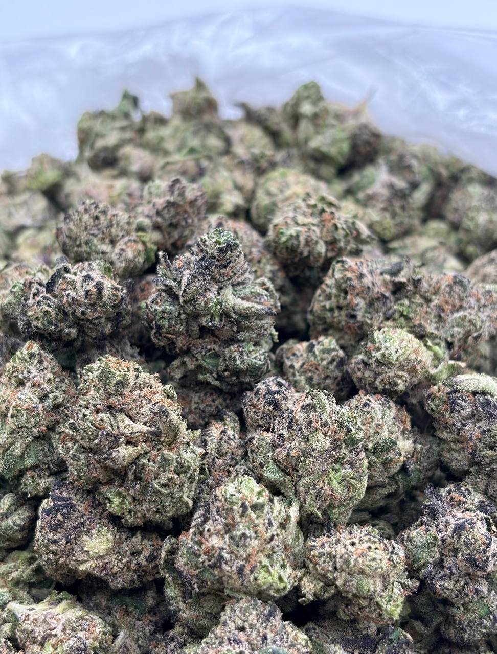 Mochi Cherry Zkitta (Qp 320)