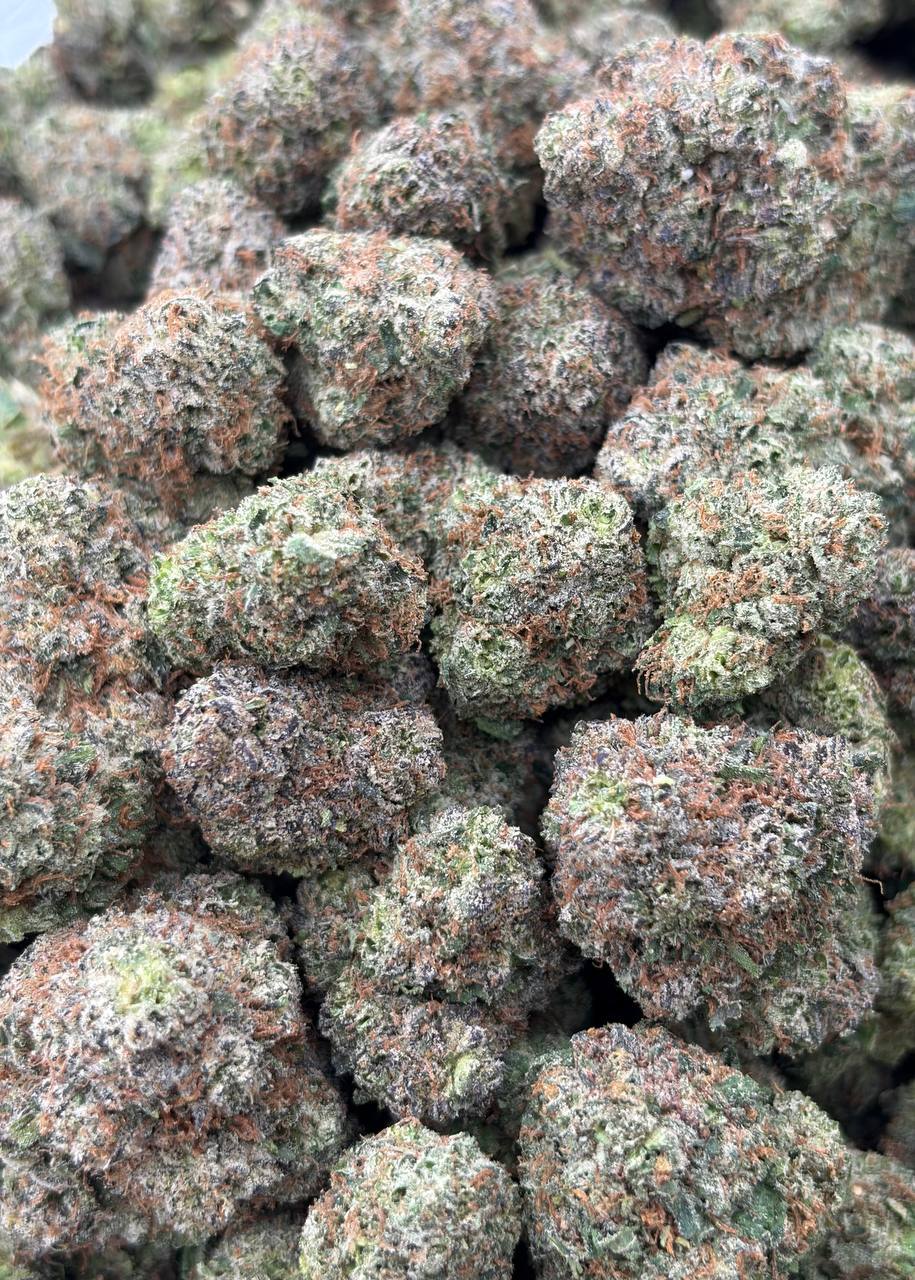 Guava Gelato Runtz  (Qp 330)