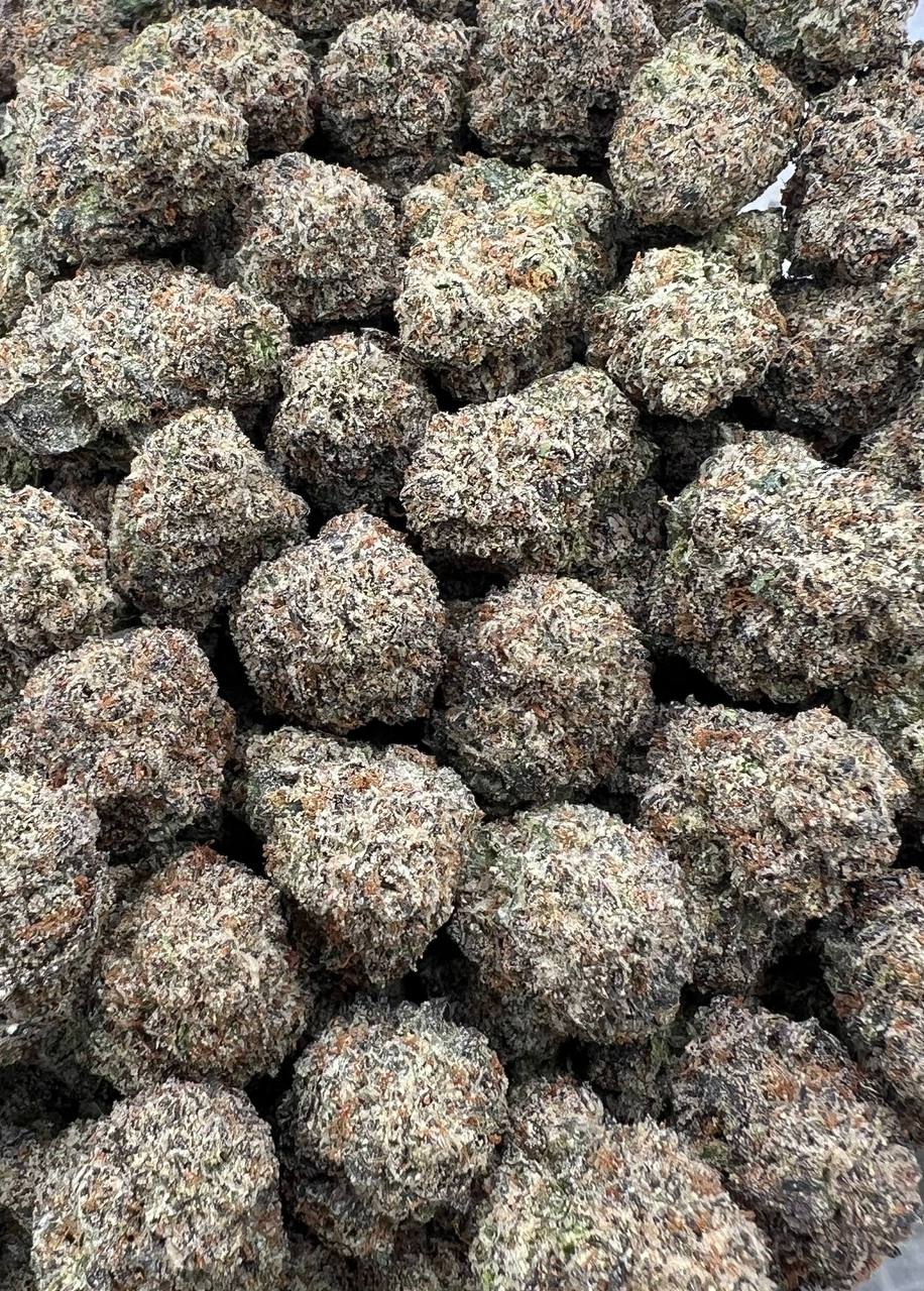 Bacio Slushiez (Qp 330)