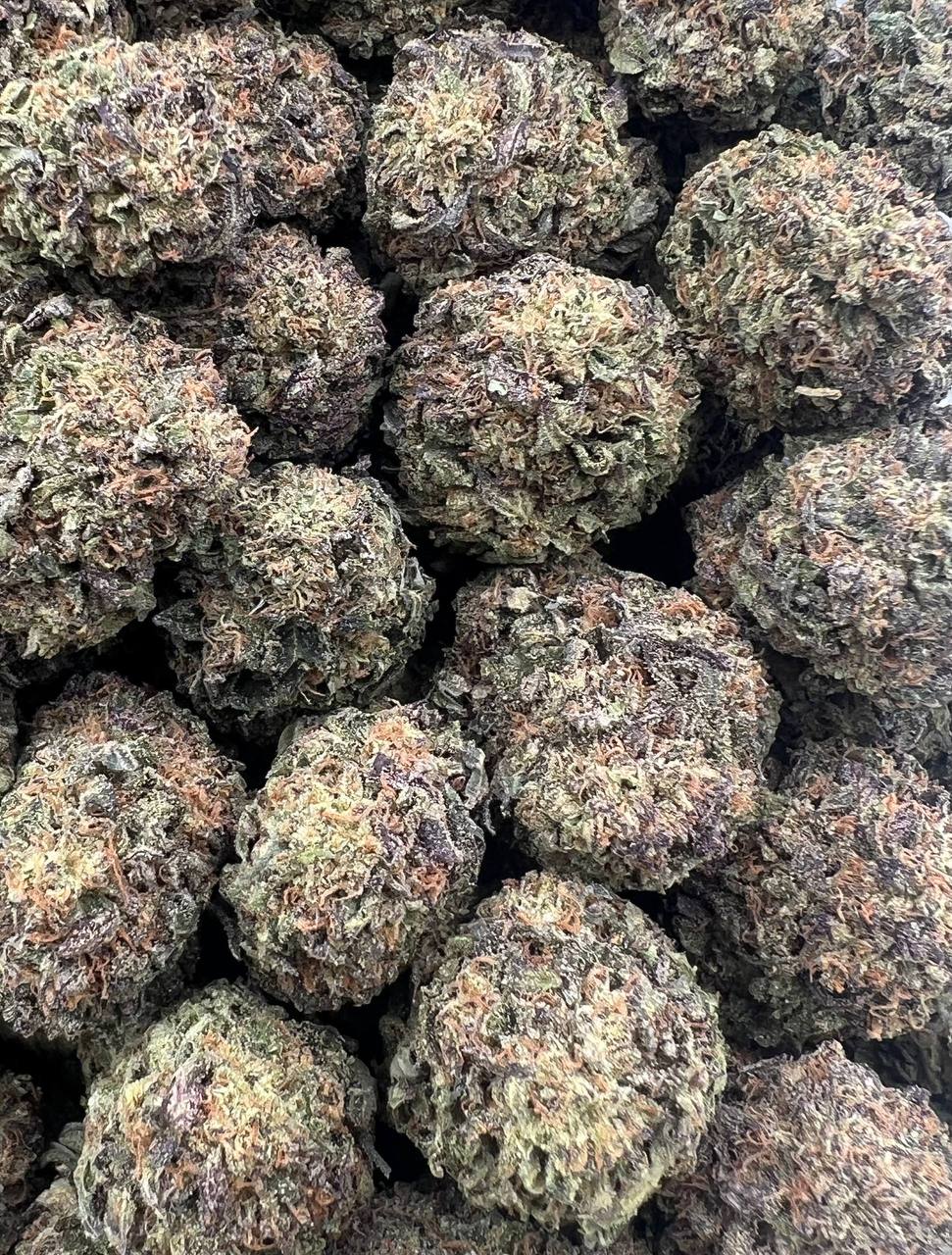 Blue Haze (Qp 250➡️230)