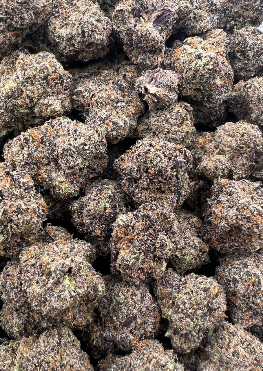 Gas Face (Qp 365)