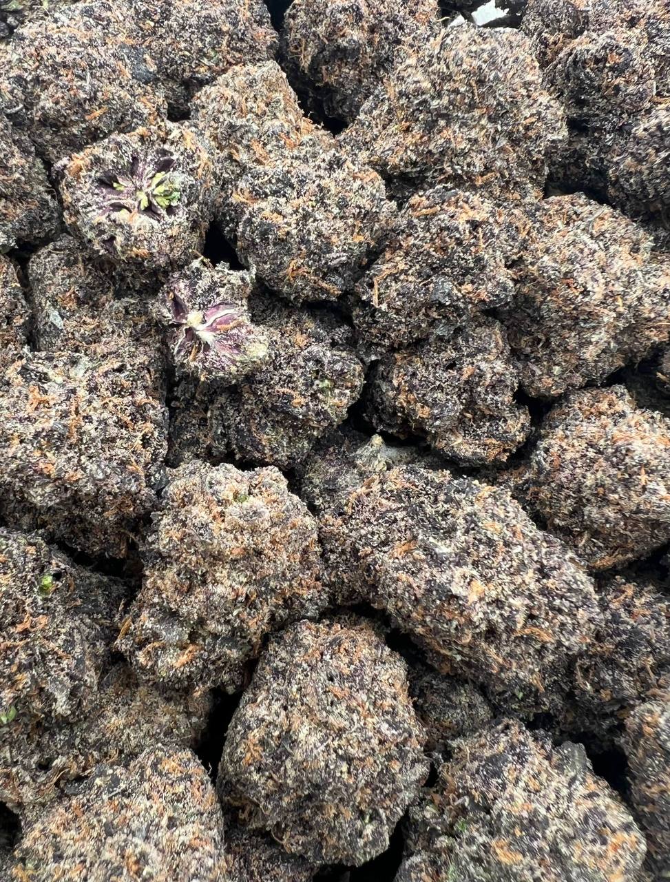 Black Zoap  (Qp 360)