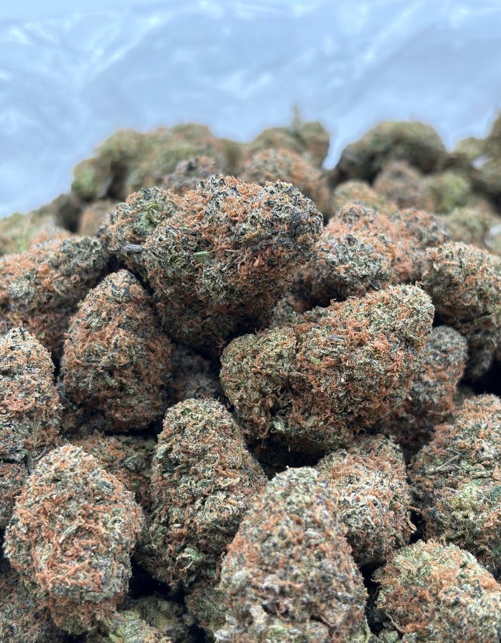 Candied Gelato Runtz  (Qp 320)