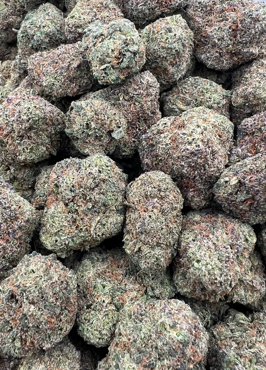 Gelato Kandy Sorbet  (Qp 320)