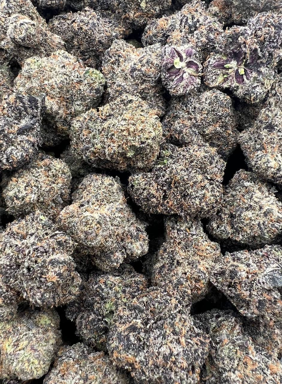 Lipsmackerz  (Qp 360)