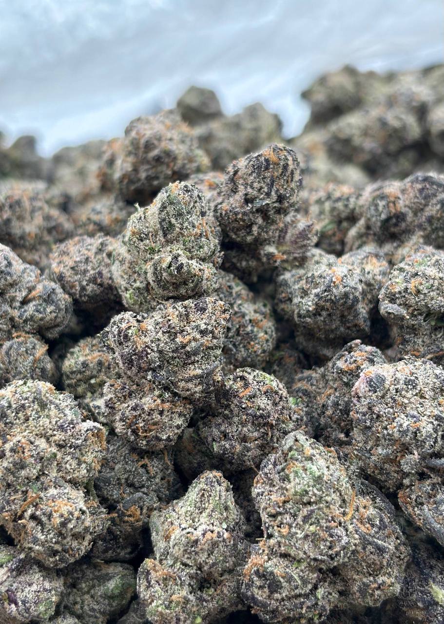 Galactic Warheadz  (Qp 400)
