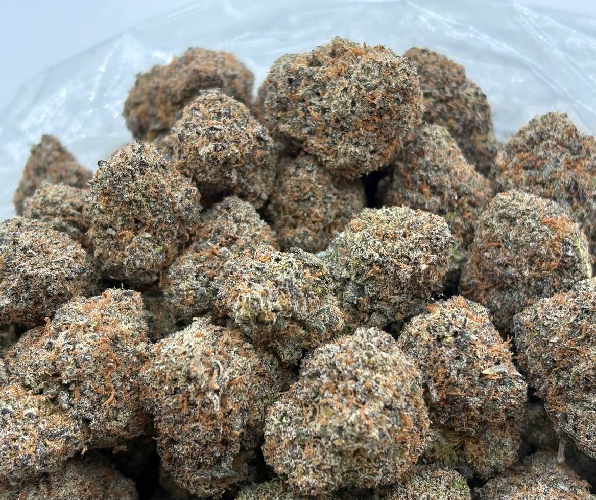 Neon Sunshine  (Qp 360➡️330)