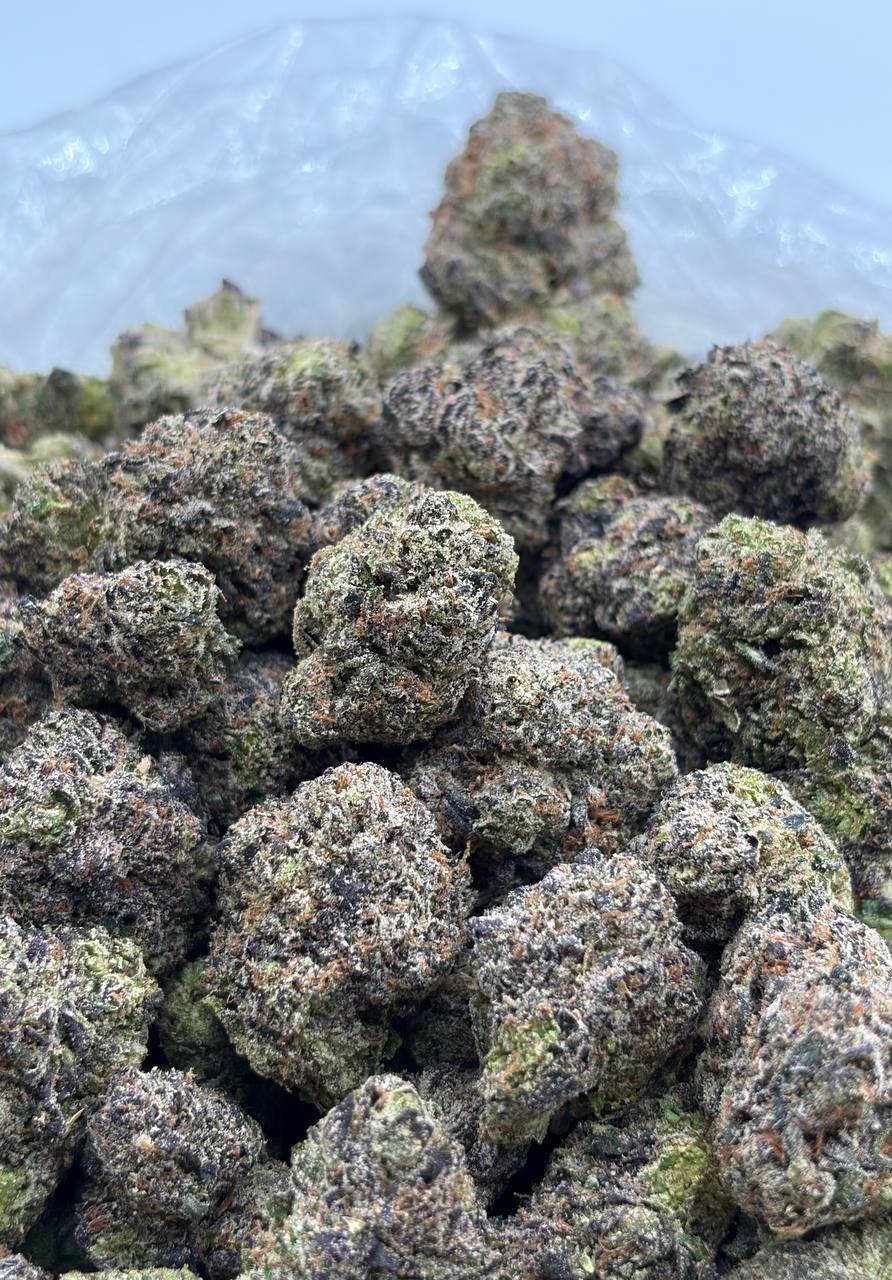 LCG (Qp 340)