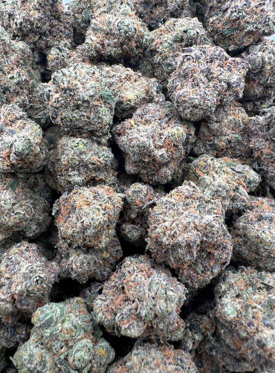 Mother’s Milk (Qp 320)