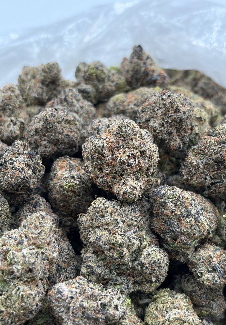 Lemon High Fructose  (Qp 365)