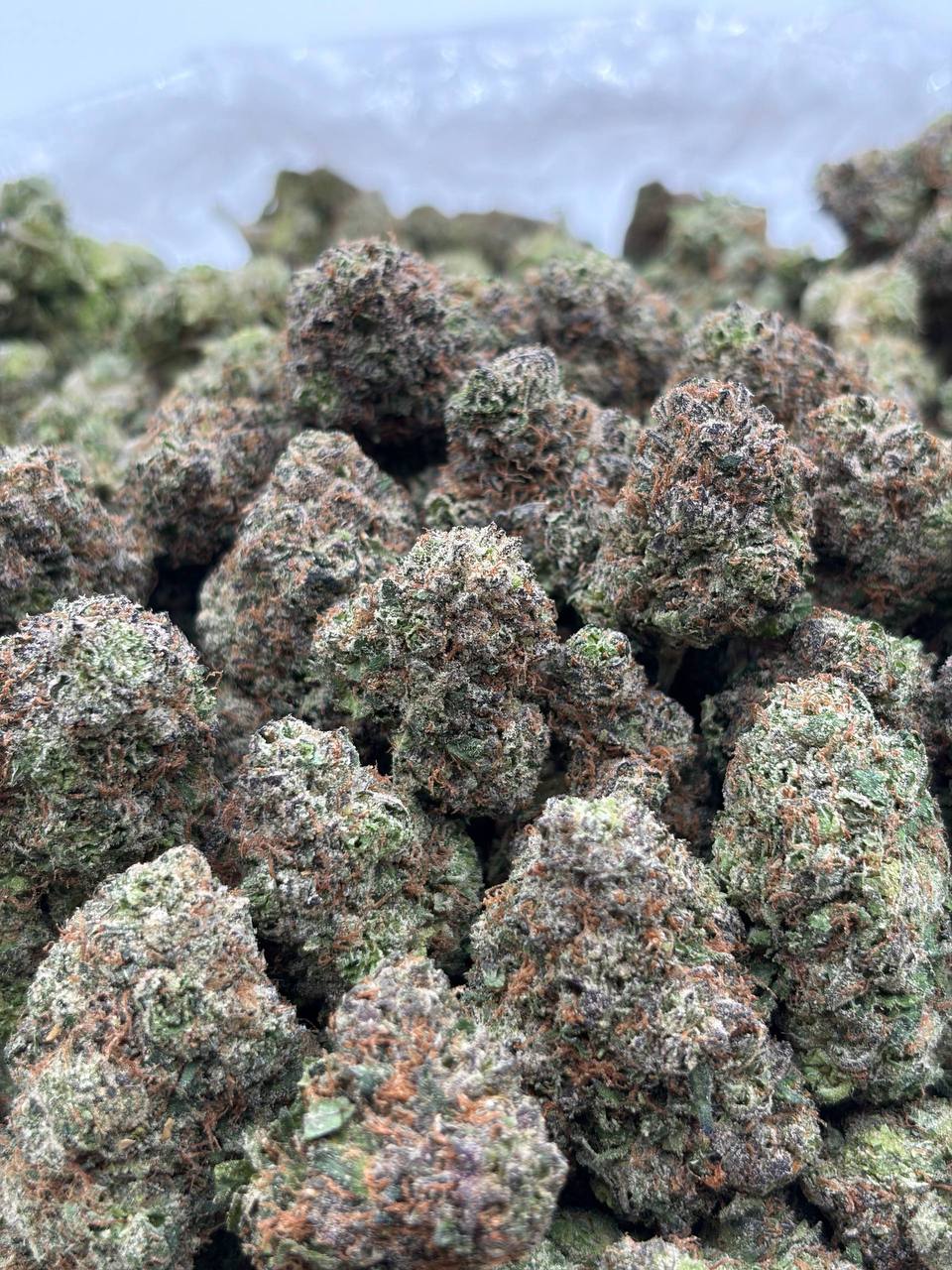 Watermelon Candy Crunch  (Qp 335)