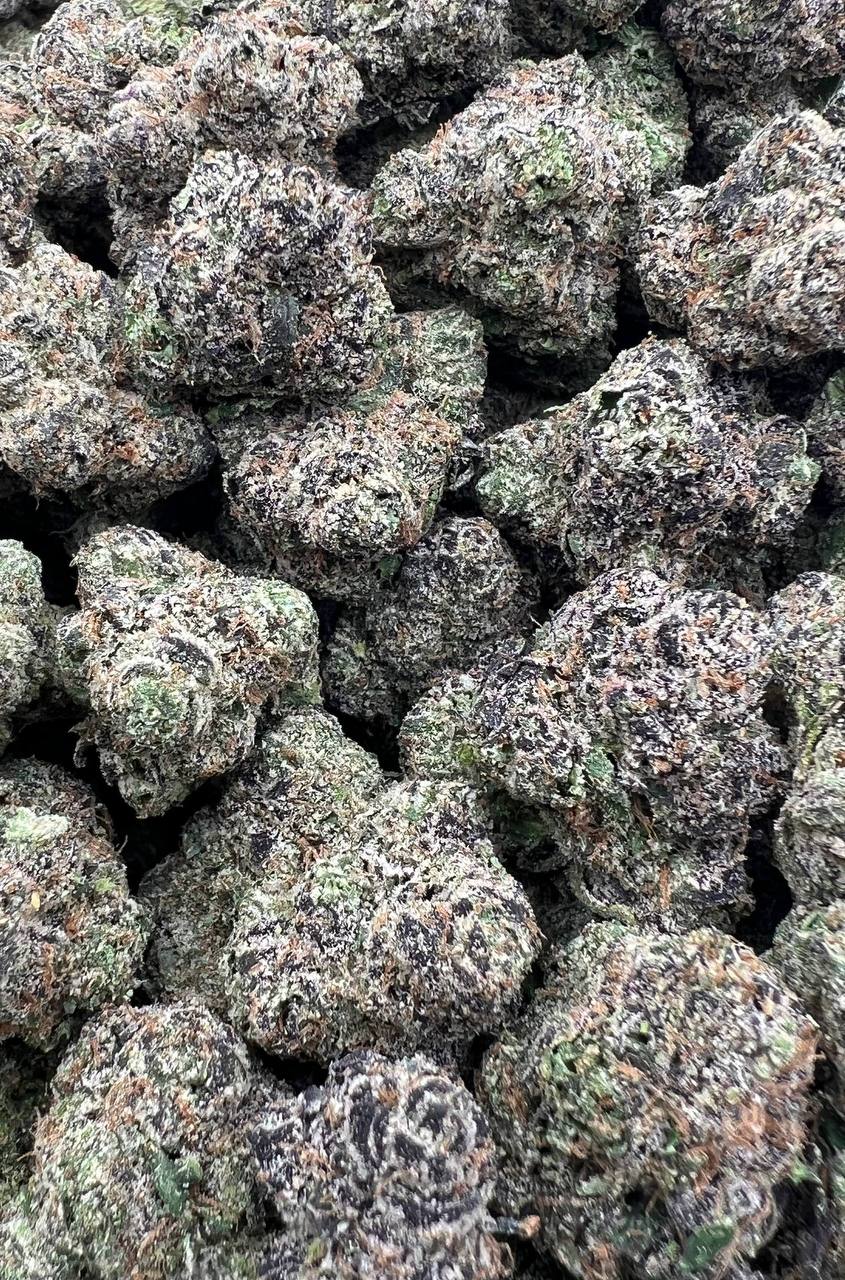 No Cap (Qp 365)