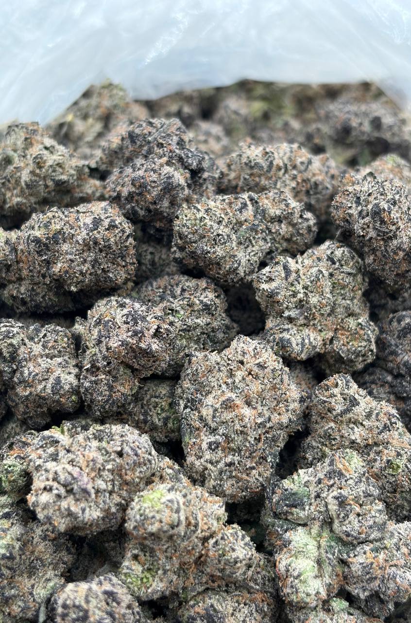 Dirty Fanta (Qp 340)
