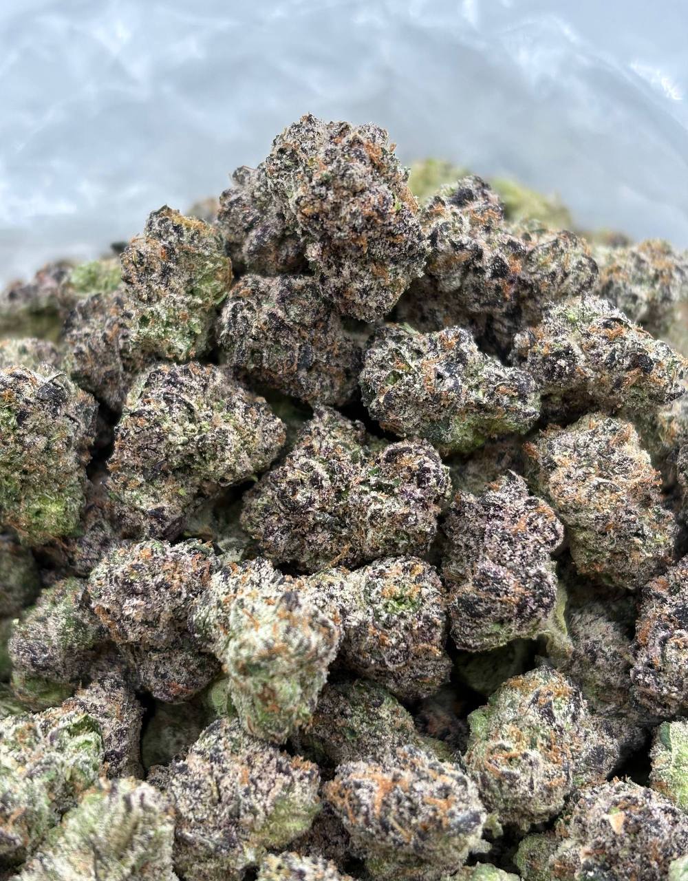 LA Confidential *medium (Qp 320➡️300)