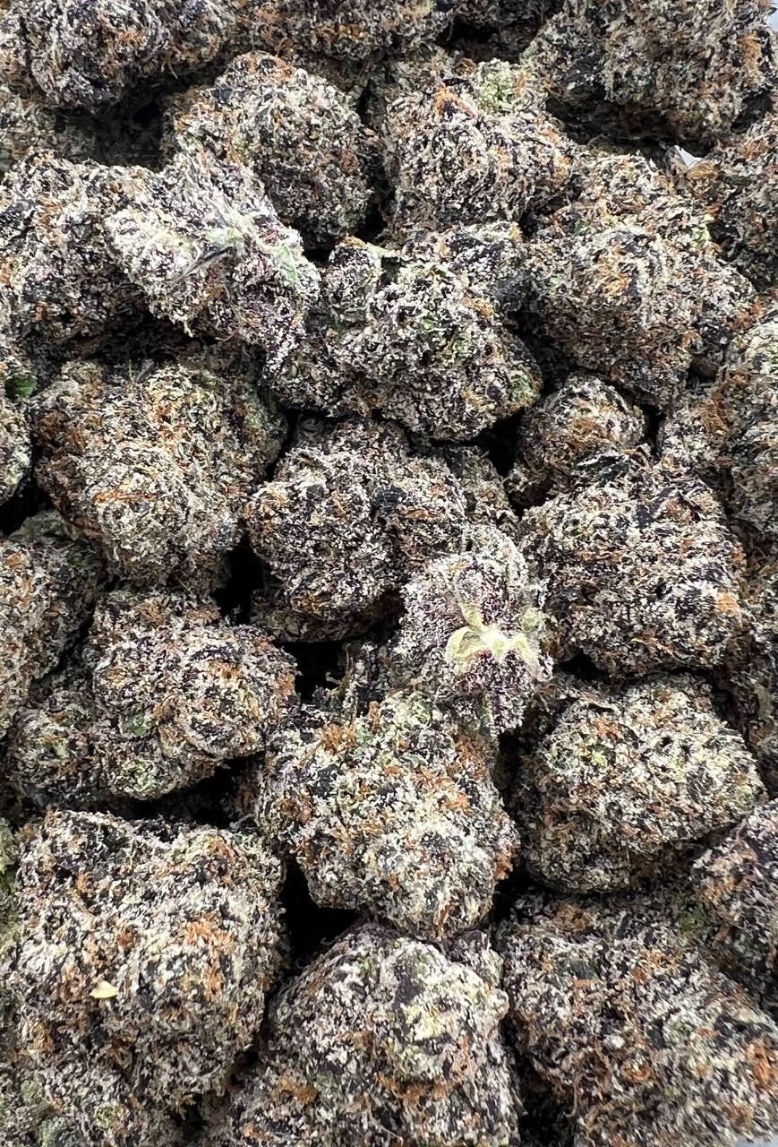 Bubblegum X Watermelon Gelatti  (Qp 425)