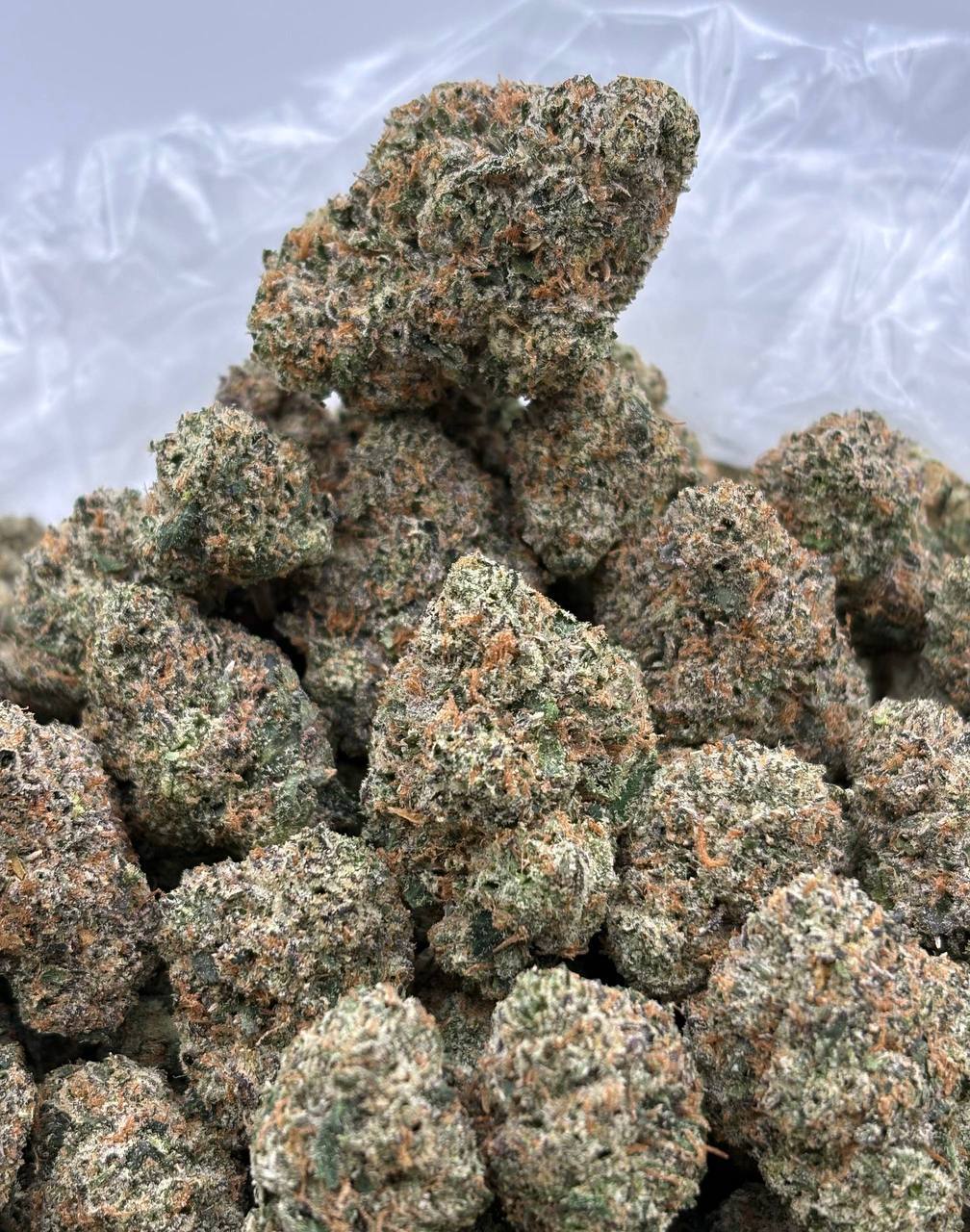 Bruce Wayne (Qp 350)