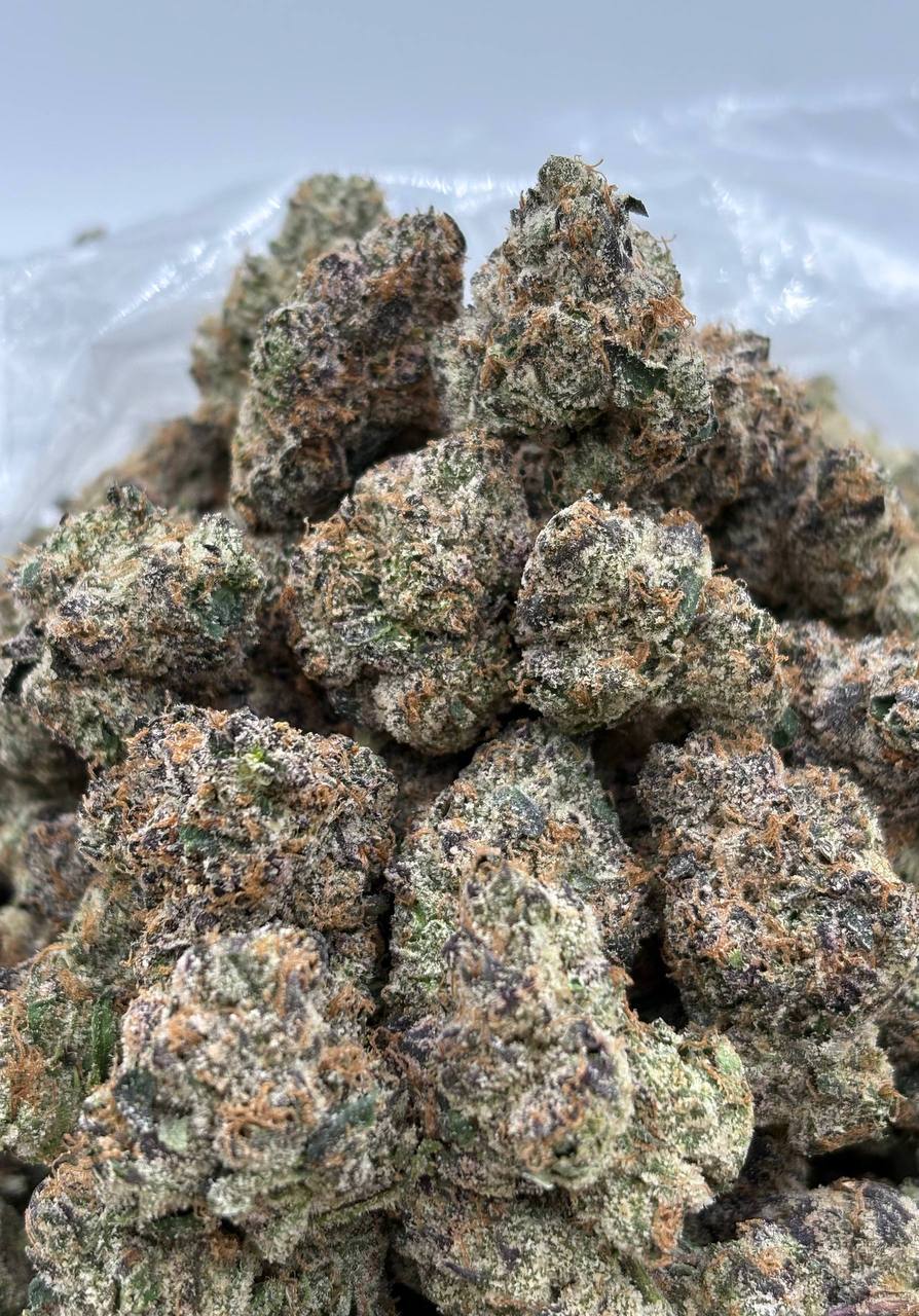 Blue Caviar  (Qp 400)