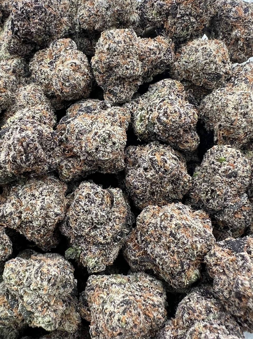 Dom Pérignon  (Qp 425)