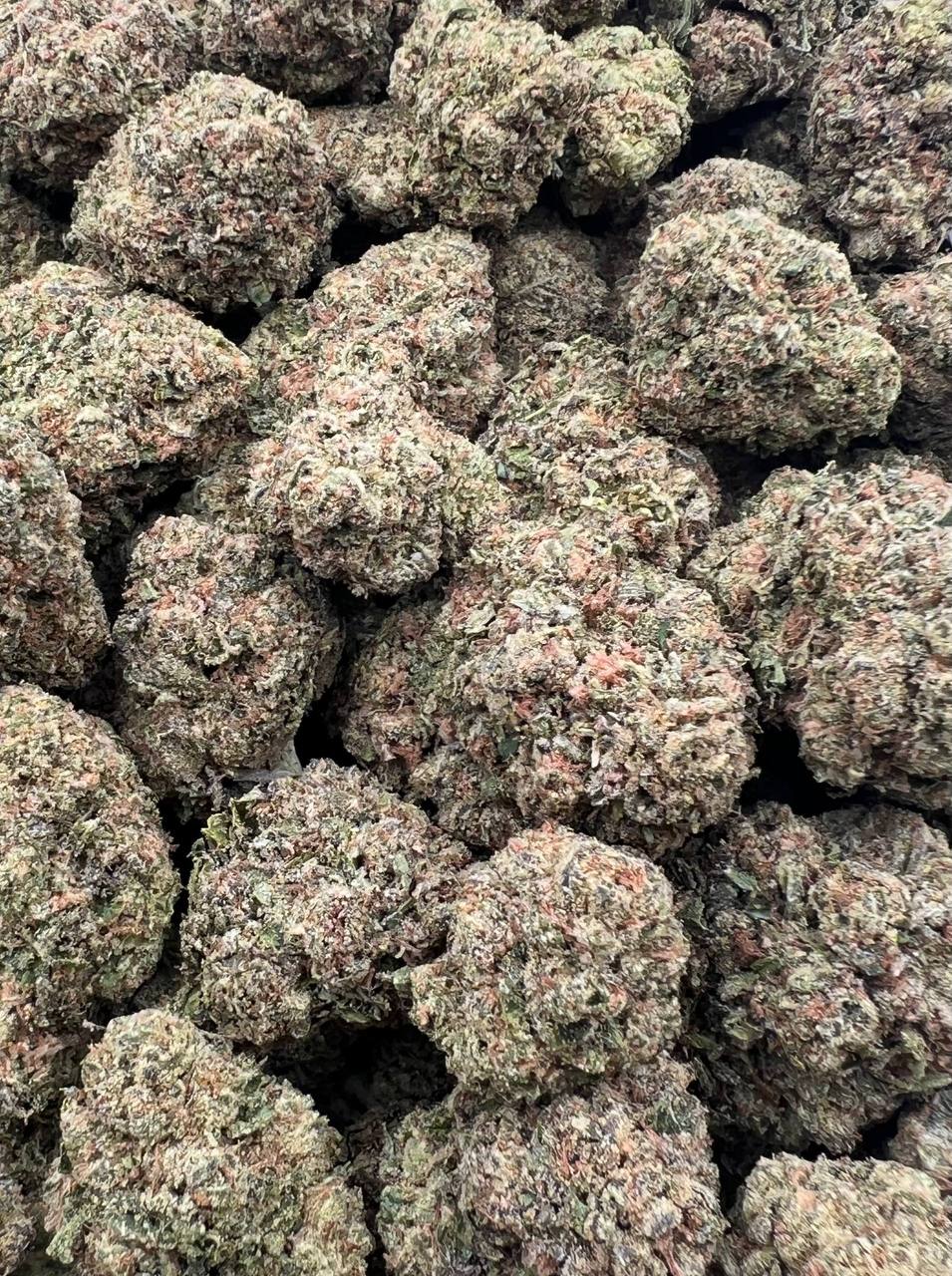 Jet Fuel Runtz (Qp 275➡️250)