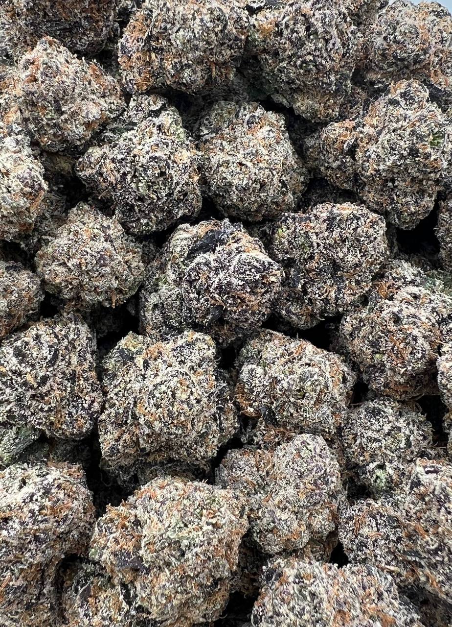 Pie Hoe  (Qp 425)