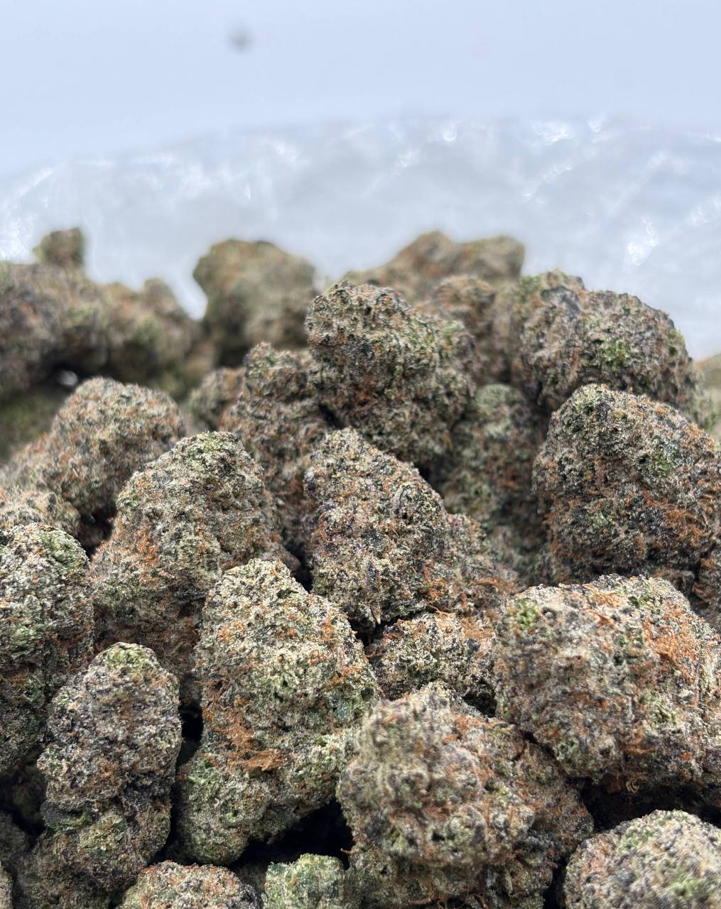 Gumbo Milky Way (Qp 340)