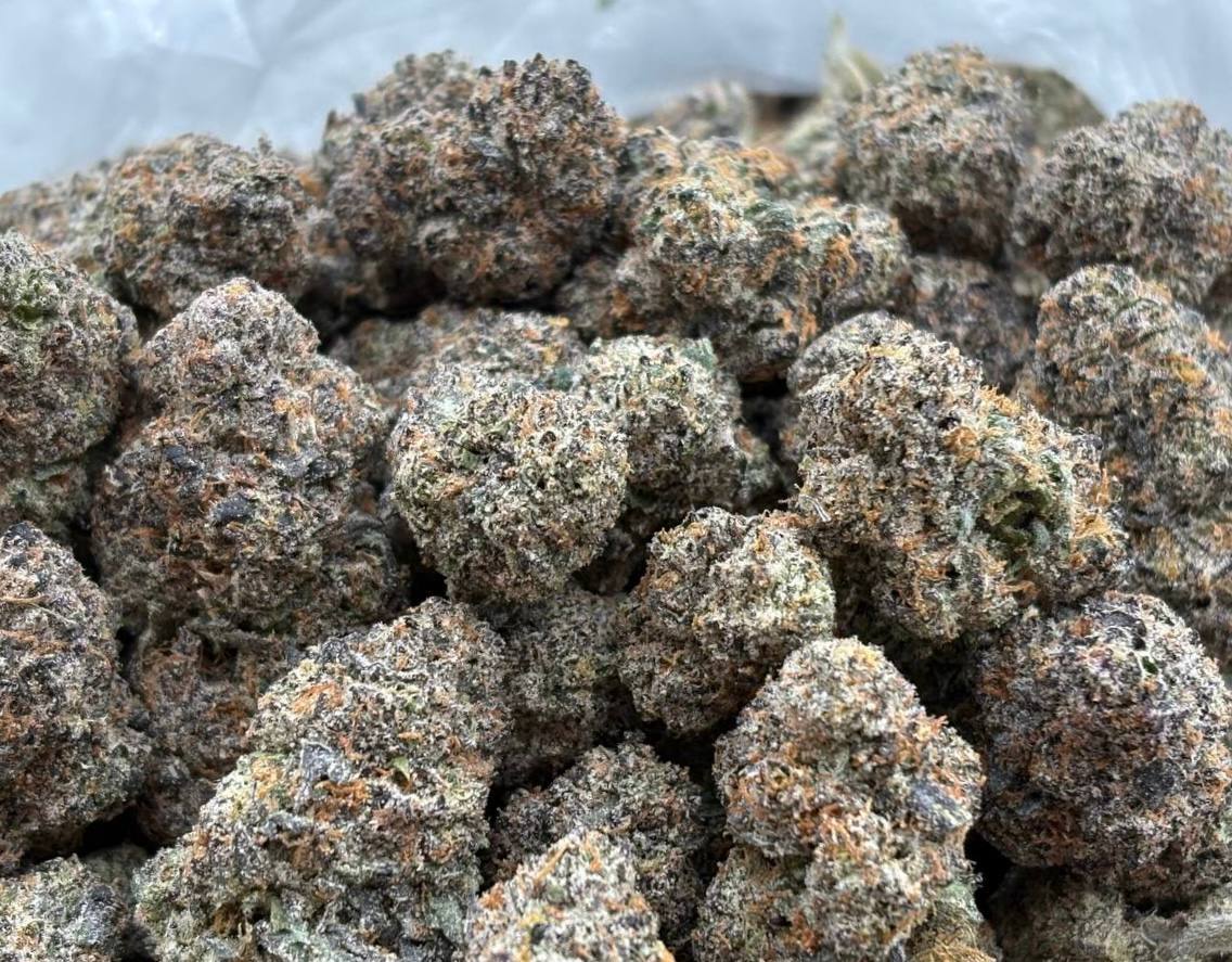 Benjaminz (Qp 370➡️340)