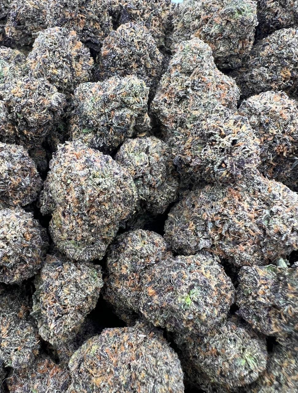 Lollipop  (Qp 320)